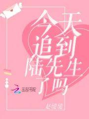 今天追到陆先生了吗
