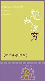 总裁很穷