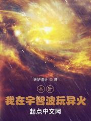 木叶:我在宇智波玩异火