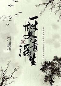 一树冬青任浮生