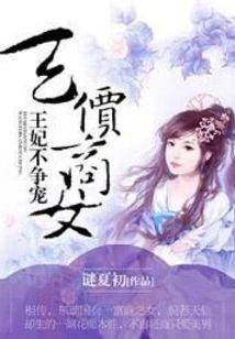 天价商女:王妃不争宠