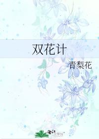 双花计