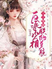 穿书：反派丞相天天觊觎朕的美貌