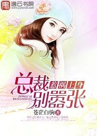 惹祸上身，总裁别嚣张凌乐乐林箫