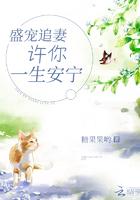 盛宠追妻：许你一生安宁