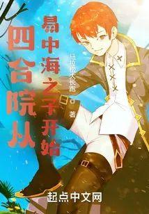 四合院从易中海之子开始
