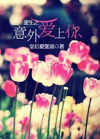 重生之意外爱上你