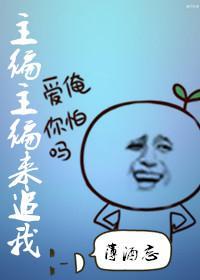 主编主编来追我