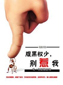 腹黑权少,别惹我