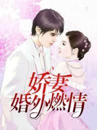 婚妻燃情