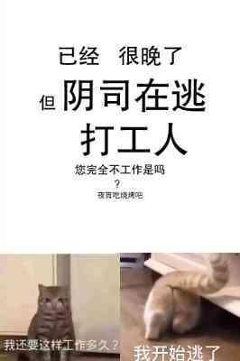 阴司在逃打工人