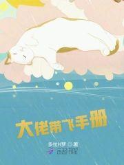 大佬带飞手册