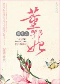 重生之董鄂妃