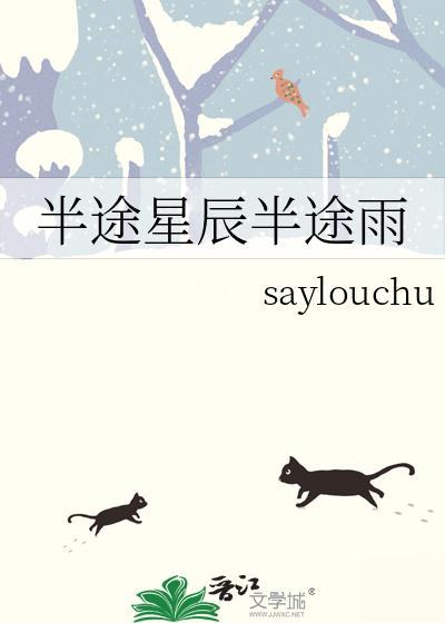 半途星辰半途雨