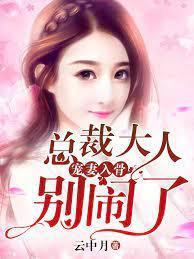 宠妻入骨：总裁大人别闹了