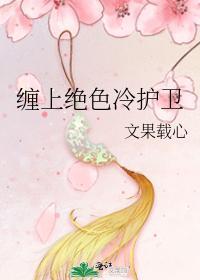 缠上绝色冷护卫