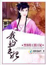 黑客王妃，生活就得嗨！