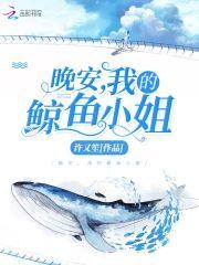 晚安我的鲸鱼小姐
