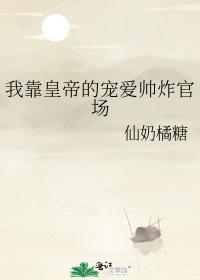 我靠皇帝的宠爱帅炸官场