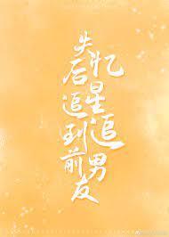 失忆后,追星追到前男友