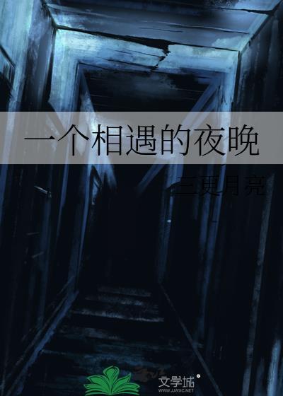 一个相遇的夜晚