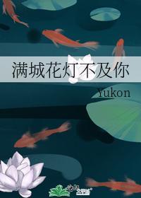 满城花灯不及你