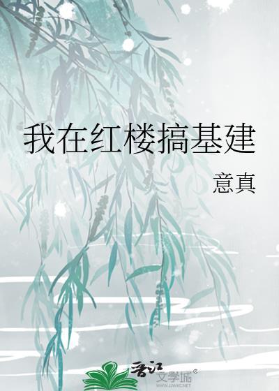 我在红楼搞基建