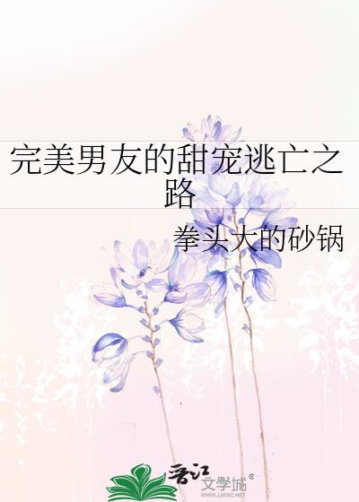 完美男友的甜宠逃亡之路