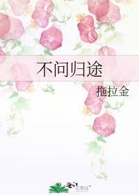 不问归途