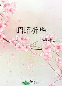 昭昭祈华
