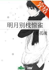 明月别枝惊雀