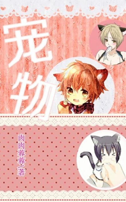 宠物