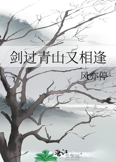 剑过青山又相逢