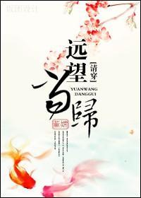(清穿)远望当归