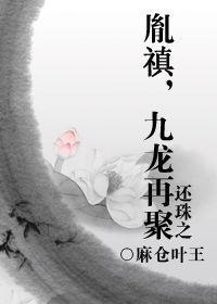 还珠之胤禛,九龙再聚