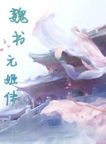 魏书元姬传