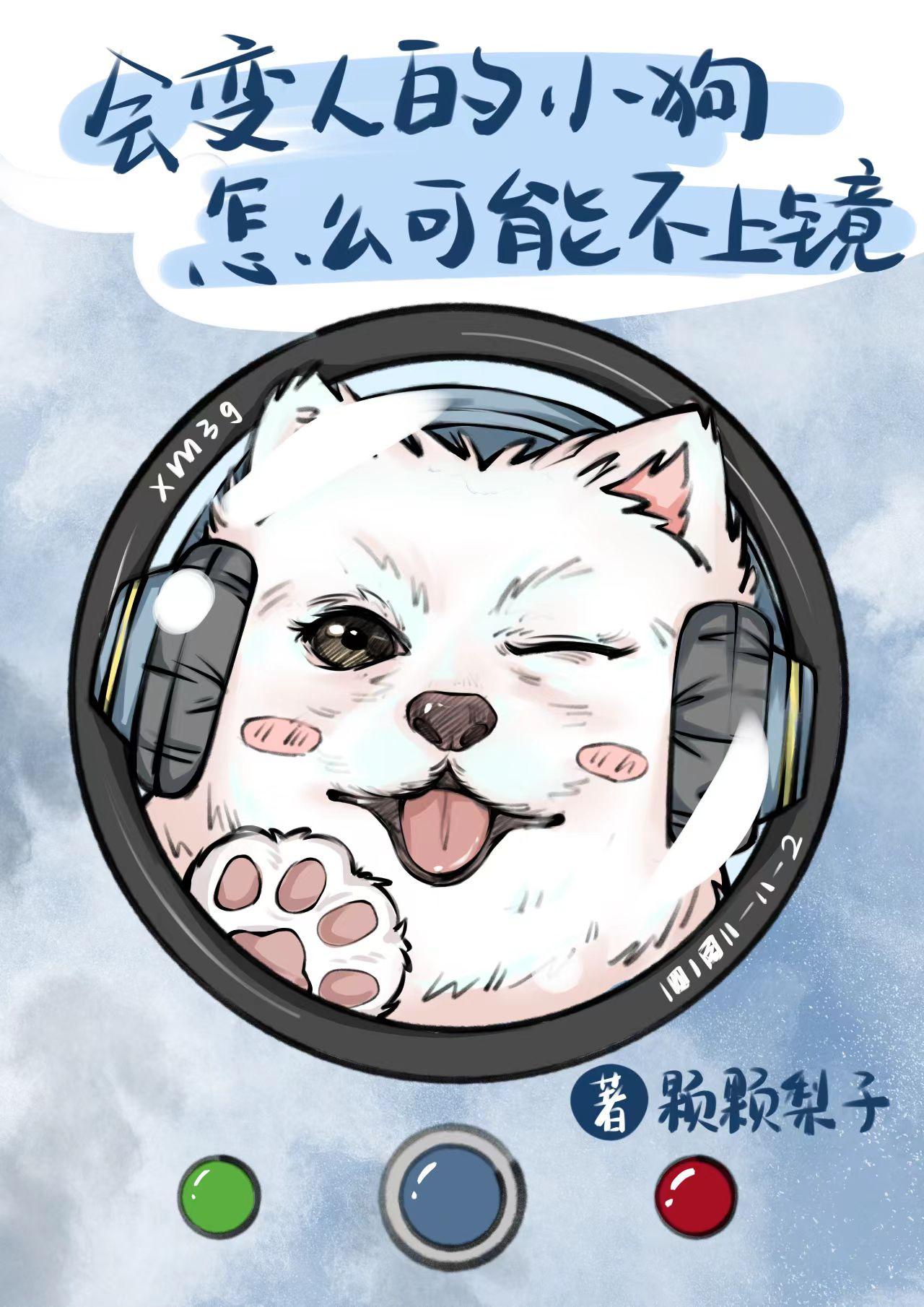拍一拍小狗,综艺爆火