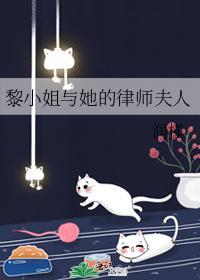 黎小姐与她的律师夫人