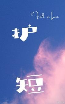 护短