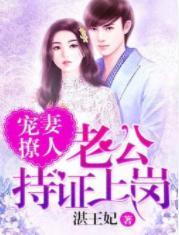 宠妻撩人:老公持证上岗
