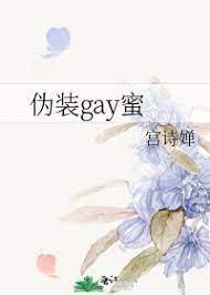 伪装gay蜜