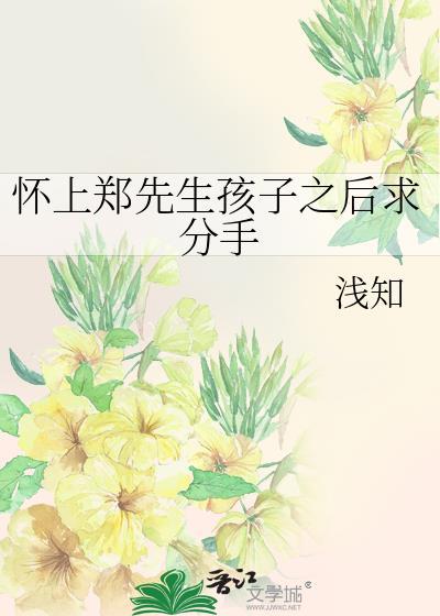 怀上郑先生孩子之后求分手