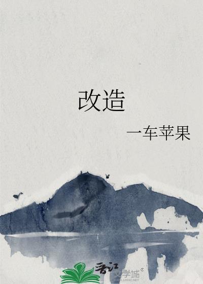 改造