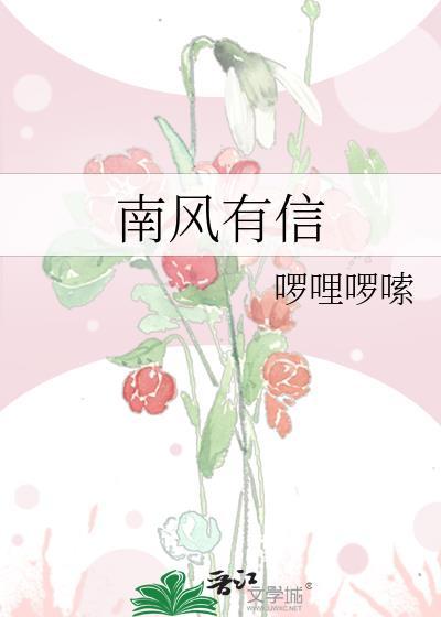 南风有信