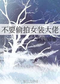 不要偷拍女装大佬