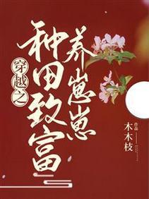 穿越之种田致富养崽崽