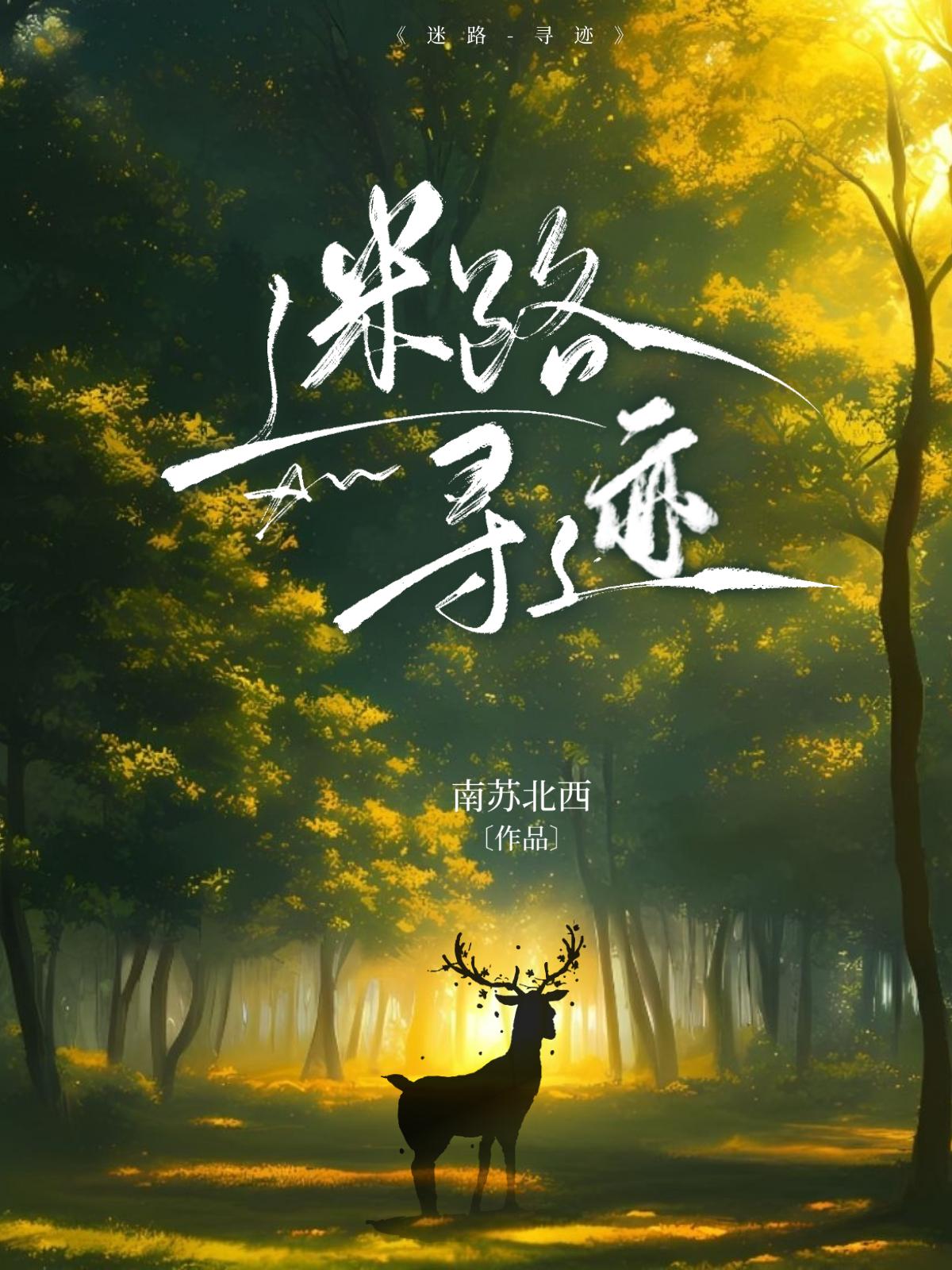 迷路-寻迹