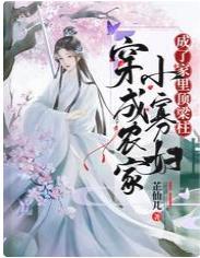 穿成农家小寡妇，成了家裏顶梁柱