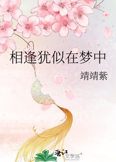 相逢犹似在梦中