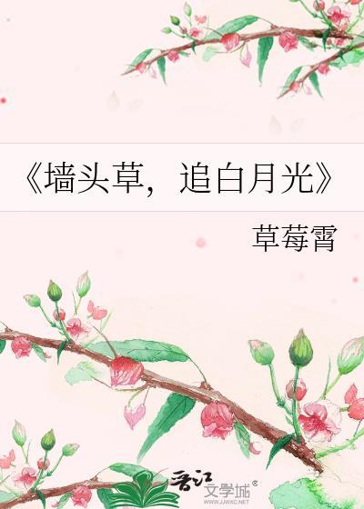 《墻头草,追白月光》